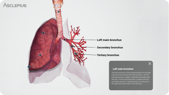 Anatomy table cost,Anatomy table cost packages,Anatomy table cost analysis,Long-term Anatomy table cost Anatomy table cost,Professional Anatomy table cost,Anatomy table cost investment,Anatomy table cost financing